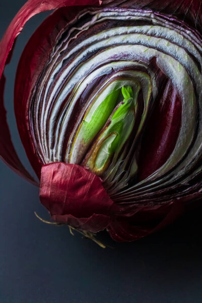 Cut the red sprouted onions in half on a black plate. Side view. Place for your text. Conceptual macro photography with deep colors. Vertical photos