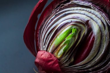 Siyah bir tabakta ikiye bölünmüş kırmızı filizlenmiş soğan. Mesajın için yer aç. Derin renklere sahip kavramsal makro fotoğrafçılık
