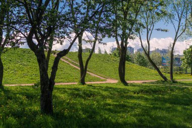 Büyük, yüksek bir tepe yeşil çimlerle kaplı bir şehir parkında gölgeli ağaçların, binaların, evlerin, mavi gökyüzü arka planında beyaz bulutların olduğu bir şehir.