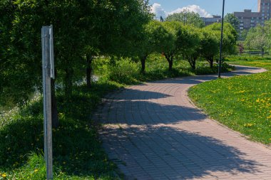 Yürüyen patikalar, parkın tam ortasında dönen patikalar güneşli yaz günlerinde ağaçların arasında çiçek açan sarı karahindibalar gölgeler ve çok katlı apartmanlar.