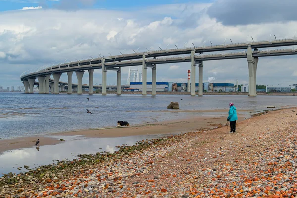 An elderly old woman, a grandmother plays with a dog on the seashore on the shore of which there is the rounded motorway highway bridge against a background of blue sky with clouds.