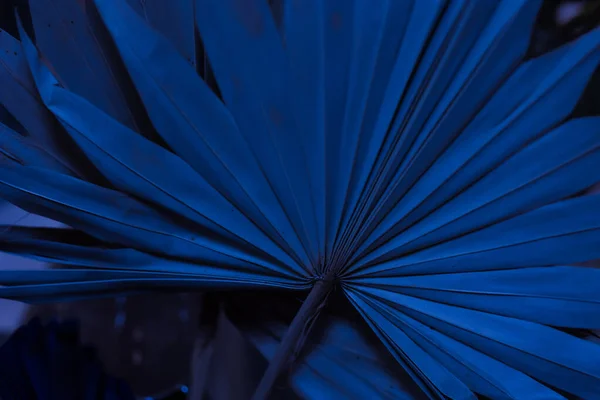 Geometrik Yapraklı Dekoratif Yapay Doğal Kağıt Çarşaf Koyu Mavi Bir Stok Fotoğraf