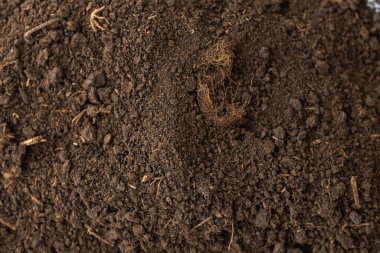 Bir yığın koyu kahverengi turba, ölü bataklık bitkilerinin parçalarından oluşan doğal bir gübre. Doğal üretim makrosunun mineral maddesi olarak turba.