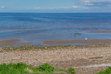 Kuzey Baltık Denizi 'nin kumlu çakıl taşları. Yeşil ve kırmızı taşlar ve çimenler. Mavi gökyüzü ve beyaz bulutlar.