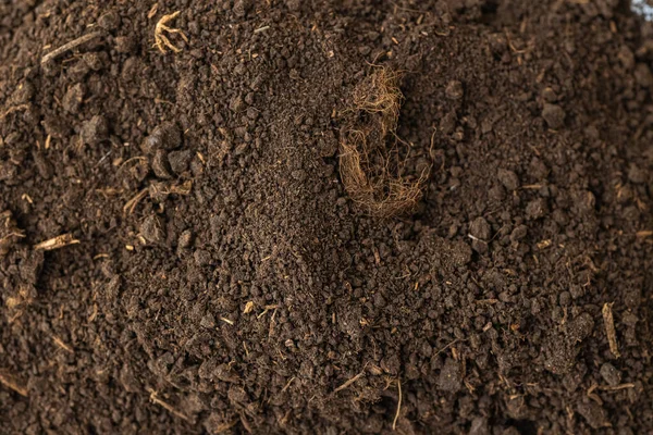 Montón Turba Marrón Oscura Negra Fertilizante Natural Formado Por Partículas — Foto de Stock