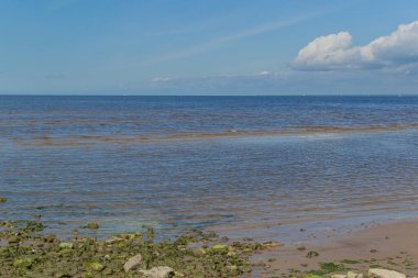 Kuzey Baltık Denizi 'nin güzel kumlu kıyıları yeşil taşlarla, mavi gökyüzü yazın güneşli havalarda bulutlarla
