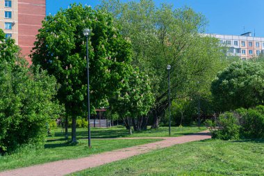Çimenli, ağaçlı, yürüyüş yolu, yaya yolu, lambalı patika, çok katlı binaların önündeki sokak fenerleri, Rusya, bahar
