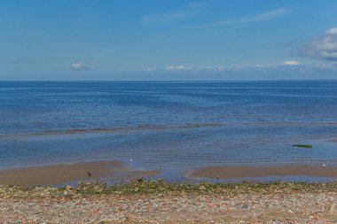 Kuzey Baltık Denizi 'nin kumlu çakıl taşı kıyısı. Yeşil ve kırmızı taşlar, beyaz bulutlu mavi gökyüzü.