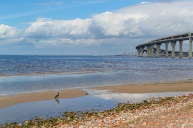 Kırmızı yeşil çakıl taşları, su birikintileri ve karga kuşuyla kıyı kıyısı bulutlu mavi soğuk bir denizin arka planına karşı yansıyor ve büyük yuvarlak otoyol köprüsü arka planı, denizin üzerinden geçen yol.