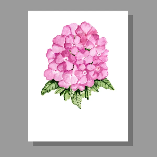 Roze bloemen uitnodiging — Stockvector