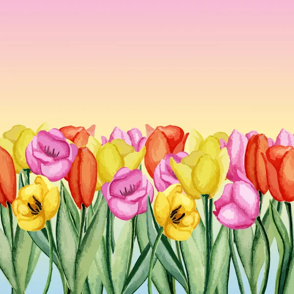 Tulpen invitation1 — Stockvector