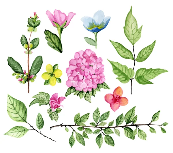 Floral set — Stockvector