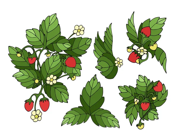 Rijpe aardbeien banners set — Stockvector