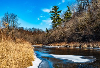 Olmsted County, Minnesota 'daki Kök Nehri Parkı' ndan Akıyor