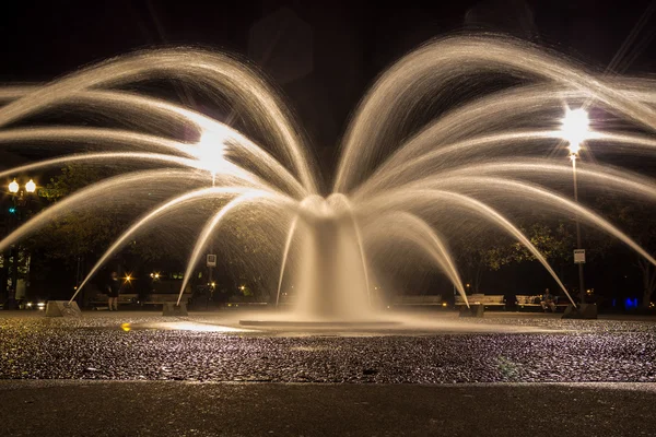 Fontaine au Tom McCall Waterfront Park — Photo
