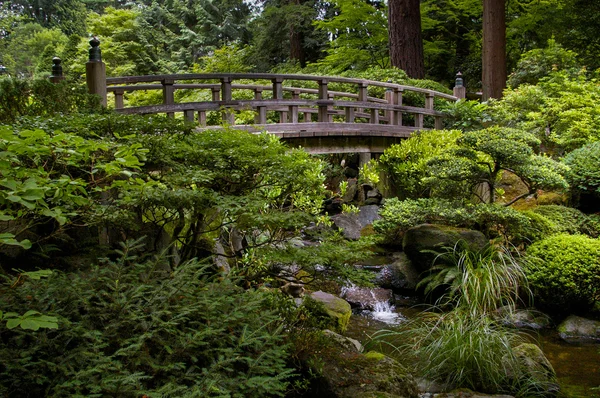 Puente en jardín japonés — Foto de Stock