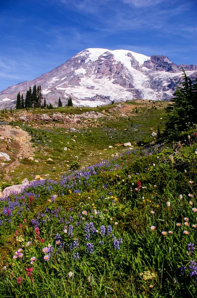 Monte Rainier — Foto de Stock