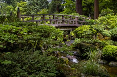 Japon bahçe köprü