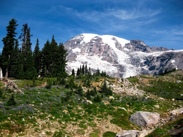 Mount Rainier — Stock Photo, Image