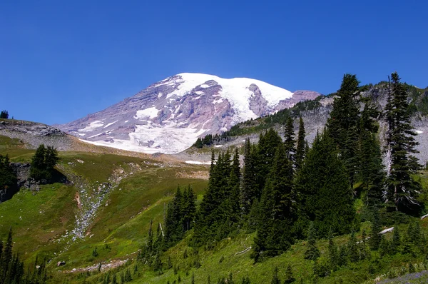 Mount Rainier — Stock Photo, Image