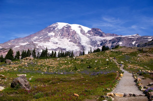 Mount Rainier — Stock Photo, Image