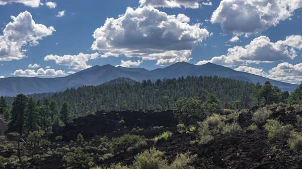 San Francisco Peaks — Stockfoto