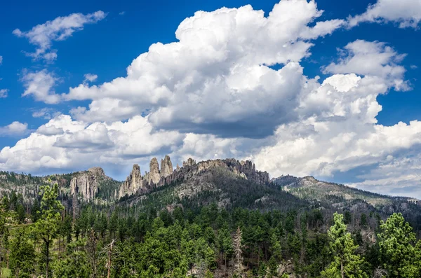 Katedral Kulesi Custer Devlet Parkı'nda