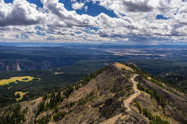 Blick nach Süden vom Mount Washburn — Stockfoto