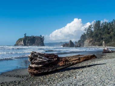 Ruby Beach olimpik Milli Parkı içinde