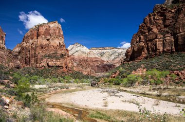 Zion Canyon Virgin nehirde