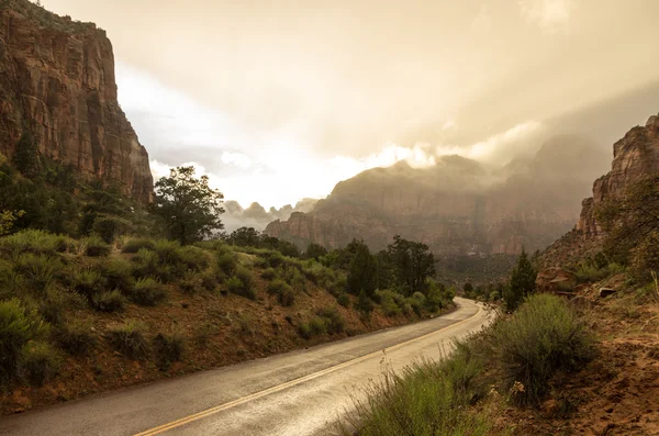 Fog in Zion Canyon — Stock Photo, Image