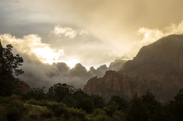 Nevoeiro em Zion Canyon — Fotografia de Stock