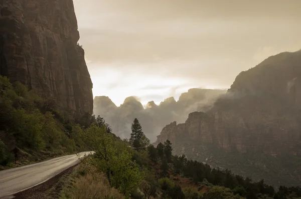 Fog in Zion Canyon — Stock Photo, Image
