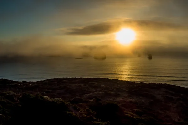 Oregon Coast Golden Sunset — Stock Photo, Image