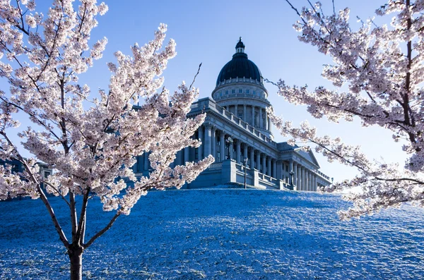 Utah State Capitol — Zdjęcie stockowe