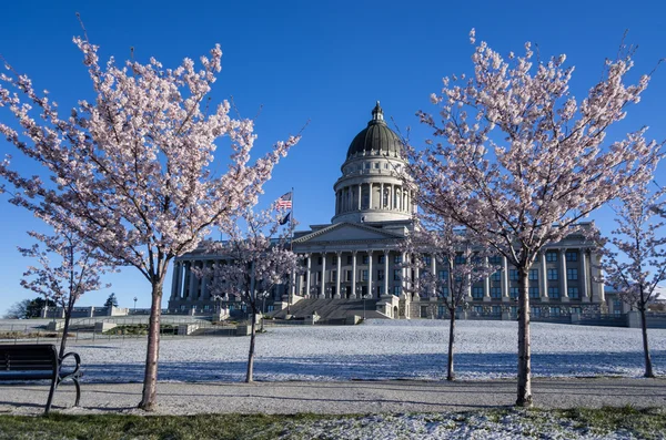 Utah State Capitol — Stock Photo, Image