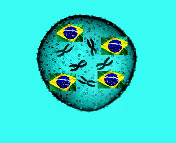 ΖΗΚΑ ιό με σημαία Βραζιλία — Φωτογραφία Αρχείου
