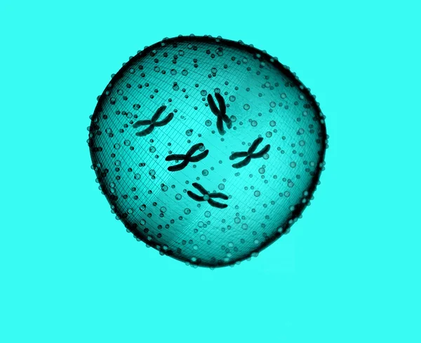 Μικρόβιο ανοικτό μπλε — Φωτογραφία Αρχείου