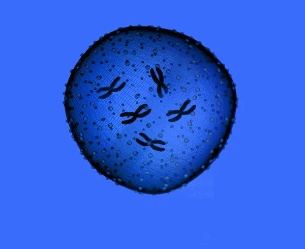 Micróbio azul — Fotografia de Stock