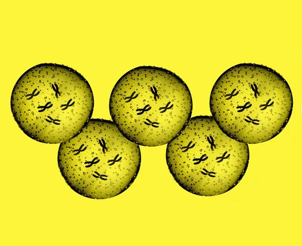 Olympians yellow microbes — Stock Photo, Image