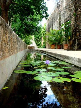 Çeşme ile içinde bir çiçek