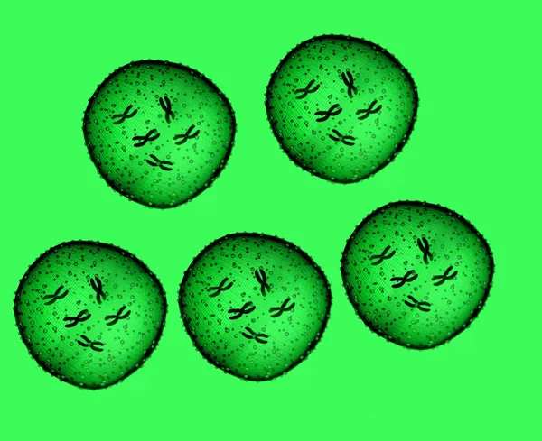 Cinco micróbios verdes vistos num microscópio num consultório médico — Fotografia de Stock