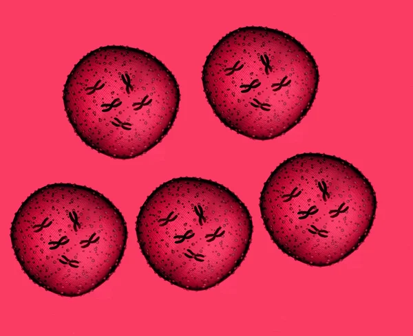 Πέντε μικρόβιο κόκκινο δει σε ένα μικροσκόπιο σε ένα ιατρείο — Φωτογραφία Αρχείου
