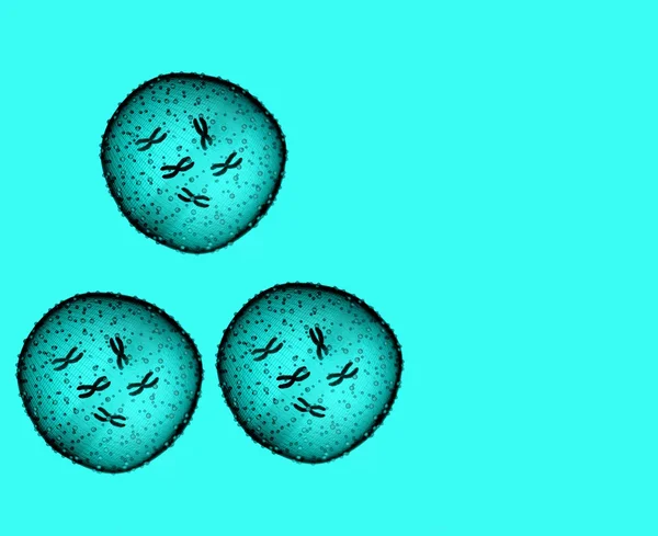 Три микроба светло-голубого цвета в микроскопе в медицинском кабинете — стоковое фото