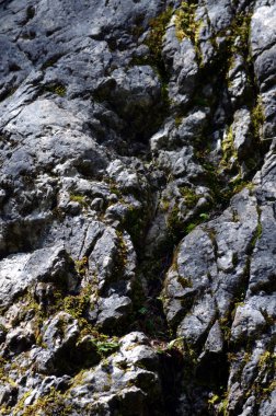 Taş dokusu arkaplanı kapat