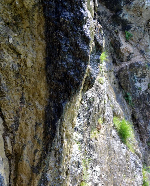 来自山白云岩岩石的流 — 图库照片