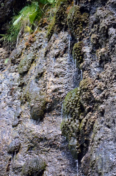 Patak, amit jön-ból egy hegy a Dolomitok sziklák — Stock Fotó