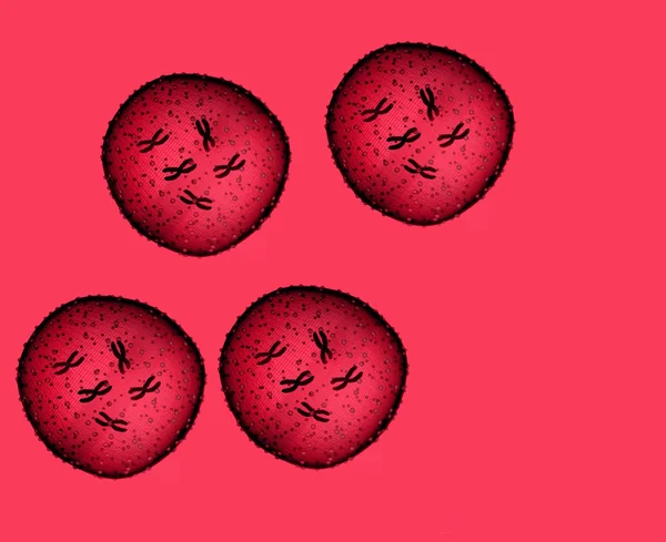 Quatro micróbios vermelhos vistos num microscópio num consultório médico — Fotografia de Stock