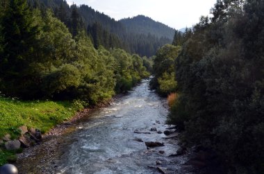 dağdan iner akışı