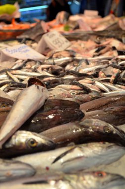 Buz üstünde görüntülenen markette taze balık